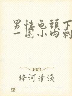 男性龟头下面有一圈小肉刺