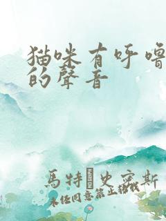 猫咪有呼噜呼噜的声音