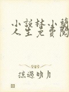 小说林小兰风流人生免费阅读