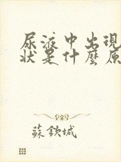 尿液中出现泡沫状是什么原因引起的