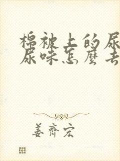 棉被上的尿渍和尿味怎么去掉