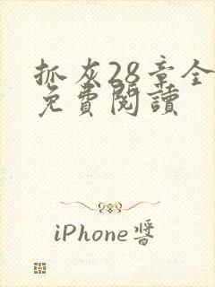 抓灰28章全部免费阅读