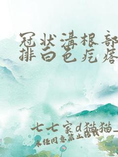 冠状沟根部有一排白色疙瘩