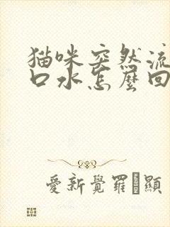 猫咪突然流透明口水怎么回事