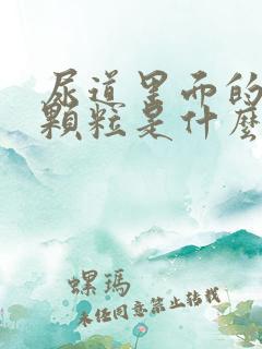 尿道里面的白色颗粒是什么