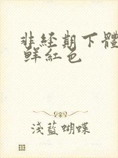 非经期下体出血 鲜红色