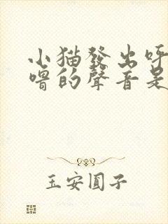 小猫发出呼噜呼噜的声音是什么