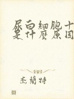 尿白细胞十1+是什么原因