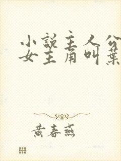 小说主人公林凡女主角叫叶惜