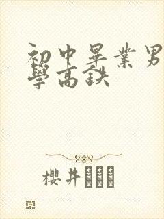 初中毕业男孩子学高铁