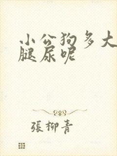 小公狗多大会抬腿尿呢