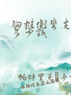 胸椎侧弯支具要多少钱