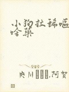 小狗拉稀呕吐吃啥药