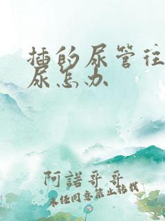 插的尿管往外漏尿怎办