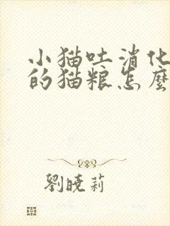 小猫吐消化好了的猫粮怎么回事