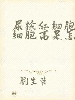 尿检红细胞高白细胞高是怎么回事