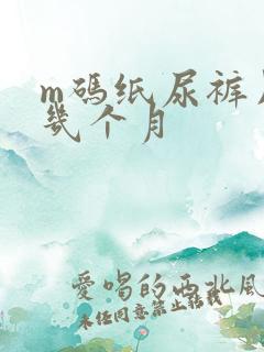 m码纸尿裤用到几个月