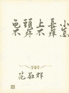 龟头上长小红点不疼不痒怎么回事