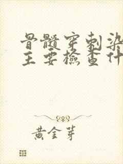 骨髓穿刺染色体主要检查什么