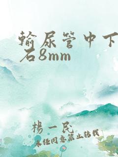 输尿管中下段结石8mm