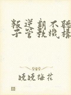 叛逆期不听话孩子管教机构