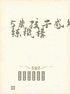 5岁孩子感统训练机构