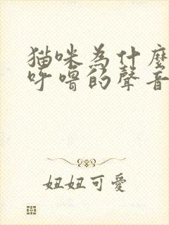 猫咪为什么呼噜呼噜的声音