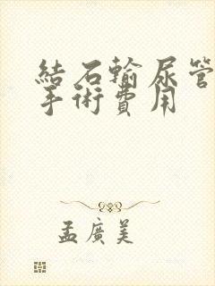 结石输尿管软镜手术费用