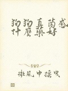 狗狗真菌感染用什么药好