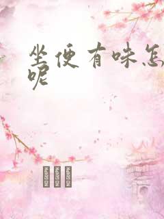 坐便有味怎么办呢