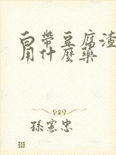 白带豆腐渣无味用什么药