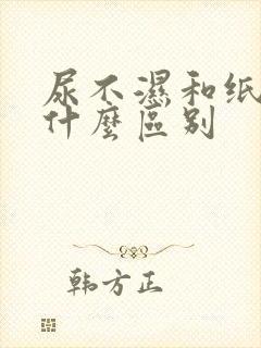 尿不湿和纸尿裤什么区别