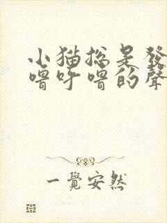 小猫总是发出呼噜呼噜的声音是怎么回事