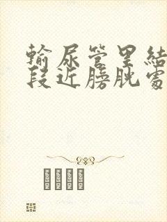 输尿管里结石下段近膀胱处