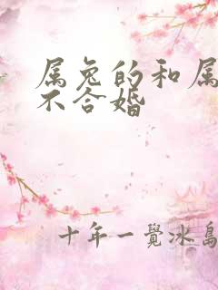 属兔的和属马合不合婚