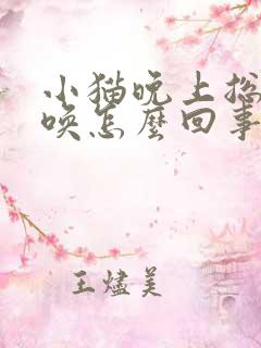 小猫晚上总是叫唤怎么回事