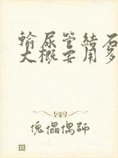 输尿管结石治疗大概要用多少钱