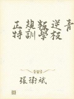 正规叛逆青少年特训学校