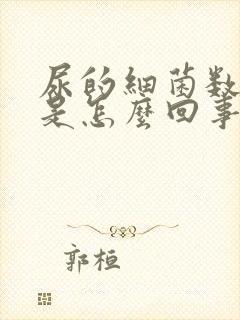 尿的细菌数量高是怎么回事