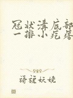 冠状沟底部有些一排小疙瘩