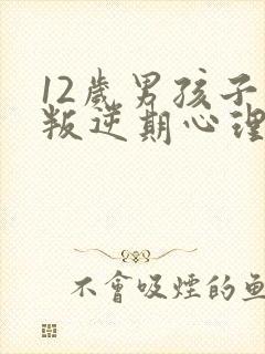 12岁男孩子的叛逆期心理特征