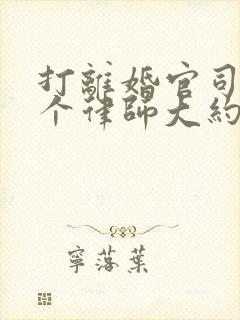 打离婚官司请一个律师大约要多少钱