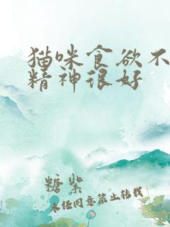 猫咪食欲不振但精神很好