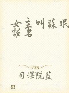 女主叫苏眠的小说名