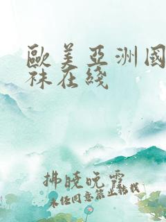 欧美亚洲国产丝袜在线