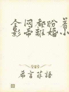 全网都盼着我和影帝离婚小说