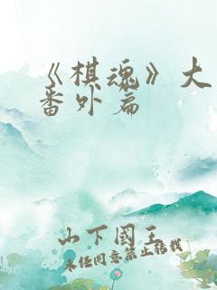 《棋魂》大结局番外篇