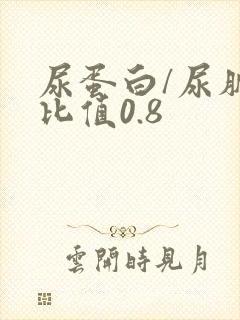 尿蛋白/尿肌酐比值0.8