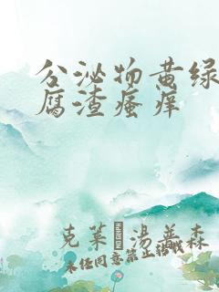 分泌物黄绿色豆腐渣瘙痒