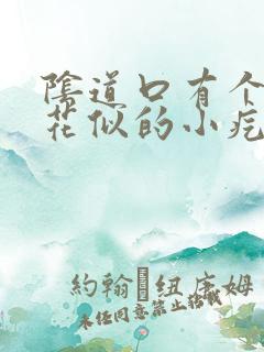 阴道口有个像菜花似的小疙瘩